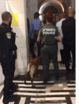 مستشفى المطلع وكلب بوليسي 