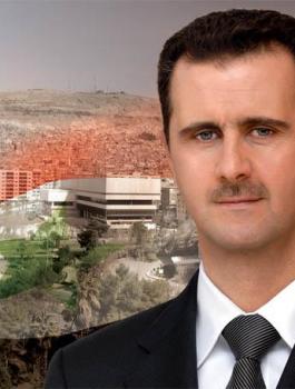 data847713811444174116