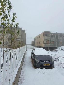 الثلوج في شمال فلسطين المحتلة 