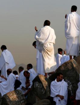 اسماء شركات الحج والعمرة المؤهلين 