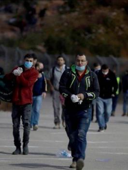 thumbs_b_c_27d931d460347c974ed077657746a9f0