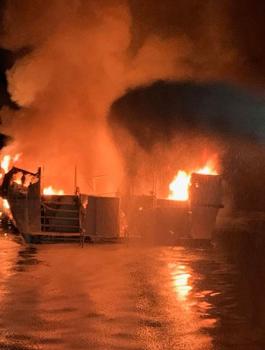 قتلى وجرحى في الولايات المتحدة 