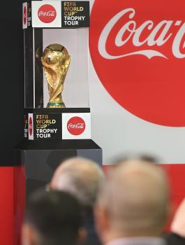 كأس العالم في فلسطين