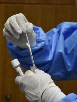 الاصابات بفيروس كورونا في جنين 