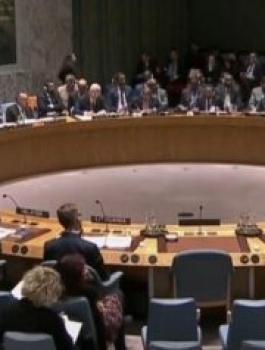 n-SECURITY-COUNCIL-large570