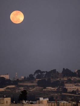 قمر الحصادين في سماء فلسطين 
