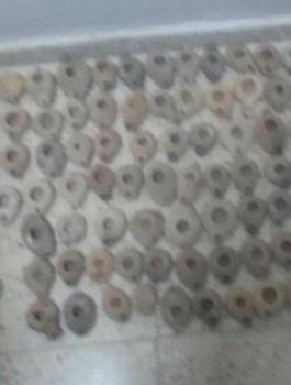 القبض على تجار آثار في نابلس 