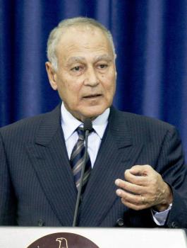 ابو الغيط وفلسطين 