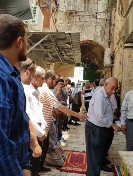 البوابات الالكترونية 