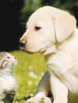 AAK_57fe8bb0-8image_story