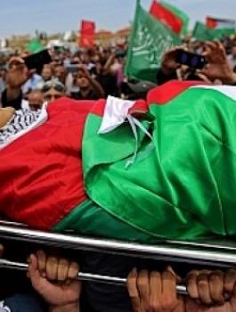 جثامين الشهداء