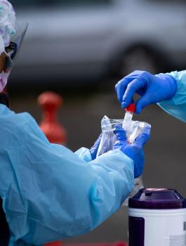 الجالية الفلسطينية وكورونا 