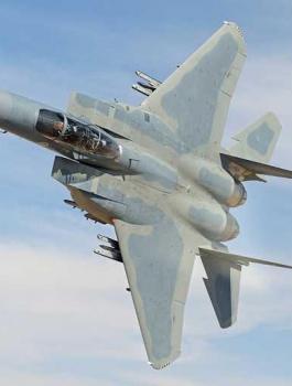 F15 – SA 
