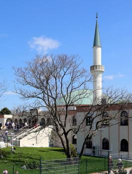 النمسا تدرس إغلاق المساجد