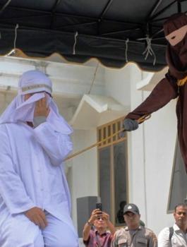 جلد اعلامية سعودية 