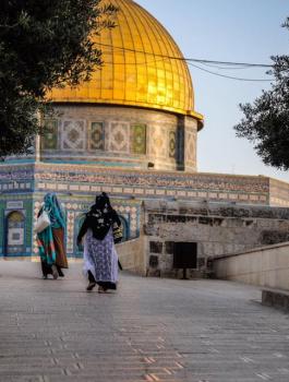 13178959_1087455197981267_4722124624590002913_n