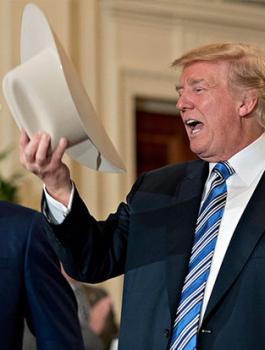 تركيا واميركا ورعاة البقر 