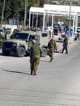 image_750x_5dd3fa3daeac2