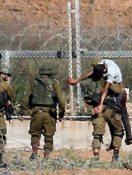 استشهاد فلسطينيين في غزة 