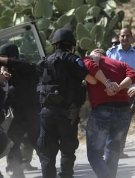 مشتل مخدرات في الزعيم 