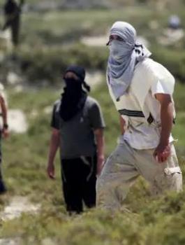 مستوطنون يهاجمون الفلسطينيين في جنين 