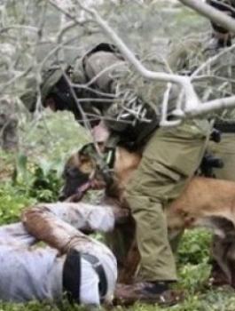 5abf31072ce4613e8917aba36444c318