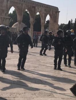 الاحتلال يقتحم الأقصى ويعتدي بقوة على المصلين