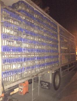 ضبط دجاج مهرب في بيت لحم 