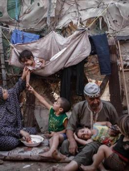 وزير التنمية الاجتماعية ابراهيم الشاعر 