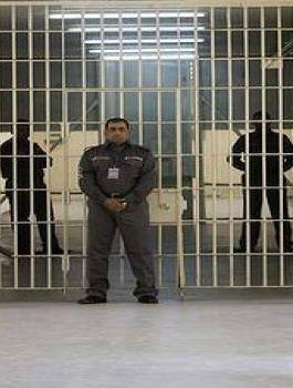 1401099454_content_thumb