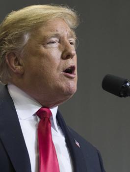 ترامب والانتصار على داعش في سوريا 