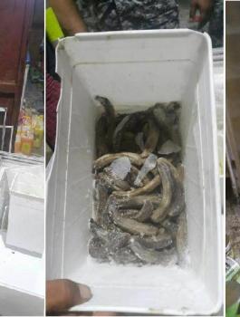 حماية المستهلك برام الله تدعو لإيقاع أقصى العقوبات بحق المخالفين 