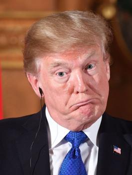 ترامب: قرارات الرد على الهجوم الكيماوي في سوريا ستتم قريباً جداً