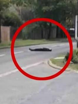 شيشاني وهجوم باريس 