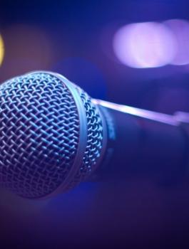 القبض على مطرب شعبي في الخليل 