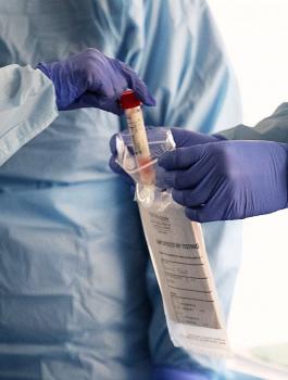 وزيرة الصحة والوضع الوبائي في فلسطين 