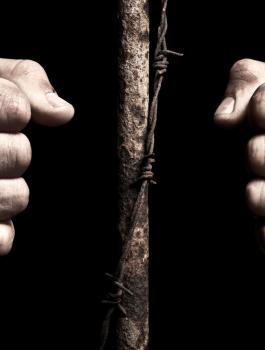 الشروع بالقتل في رام الله 