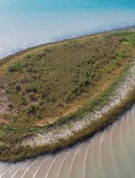 ظهور جزيرة في بحيرة طبريا 