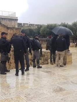 الاعتداء على المسجد الاقصىى 