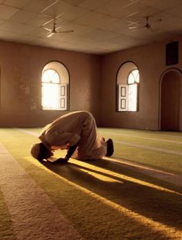 تعليق الصلاة في المساجد 