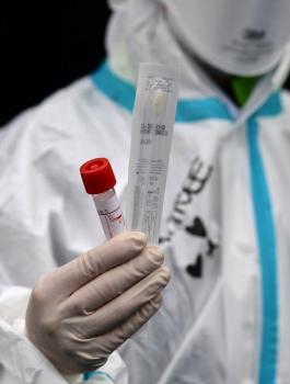 الامم المتحدة وفيروس كورونا وفلسطين 