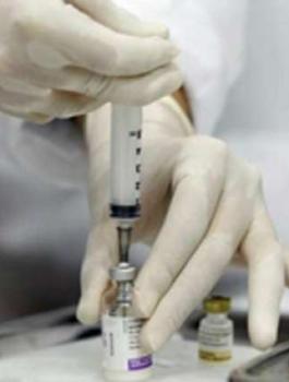 انفلونزا الخنازير في غزة 