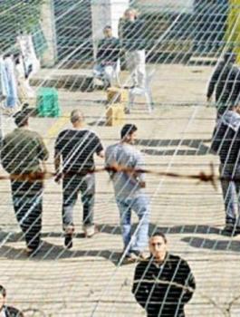 الاسرى يواصلون اضرابهم