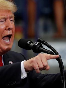 ترامب والخنزير 