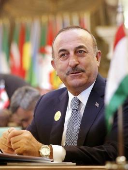 تركيا وفلسطين 