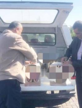 التقاط