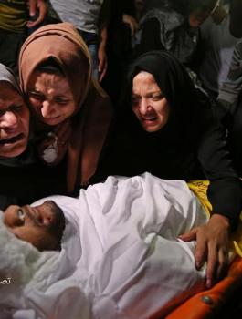 الشهداء في غزة 