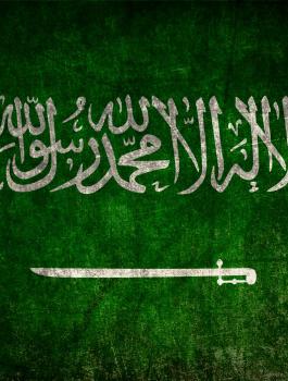دعم سعودي لفلسطين 