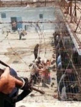 الاسرى الفلسطينين 