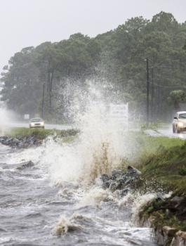  الاعصار ايرما